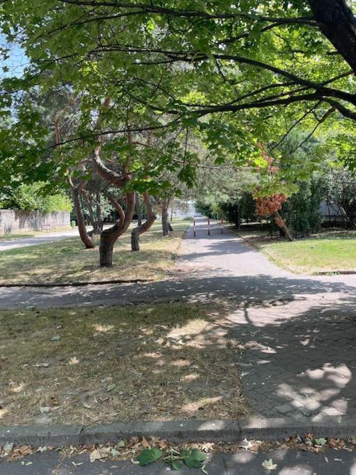 2,5 Izbovy Apartman V Ruzinove S Parkovanim Zdarma Μπρατισλάβα Εξωτερικό φωτογραφία